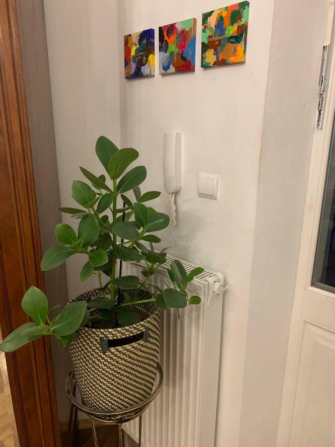 Charming Studio Apartment In The Heart Of The Jewish District! 克拉科夫 外观 照片